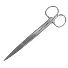 Scissors 15.5cm Sharp/Sharp Ward Quality